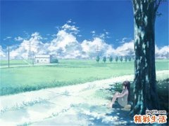 尿沉渣管型