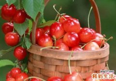 孕妇吃哪些水果可以补铁 这些水果不要错过