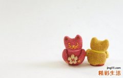 柴胡桂枝干姜汤
