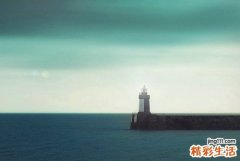 鹿角霜