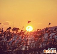 【快速正确去角质的方法】如何美白去角质