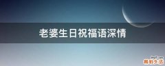 老婆生日祝福语深情