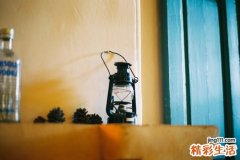 两个傻子的爱情故事
