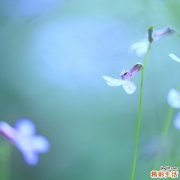 立秋后糖友慎防“秋乏”