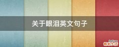关于眼泪英文句子