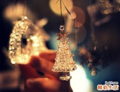 胶体铁染色