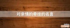 对亲情的牵挂的名言