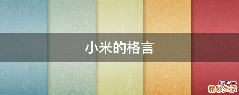 小米的格言