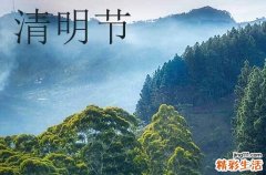 2024清明节的经典短信祝福语20条