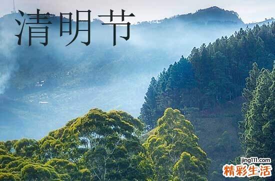 2024清明节的经典短信祝福语20条