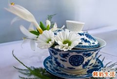 喝什么茶养肝护肝