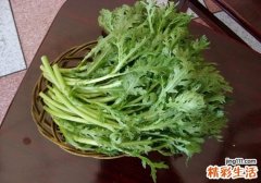 春季养肝吃什么好
