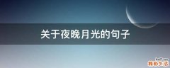 关于夜晚月光的句子