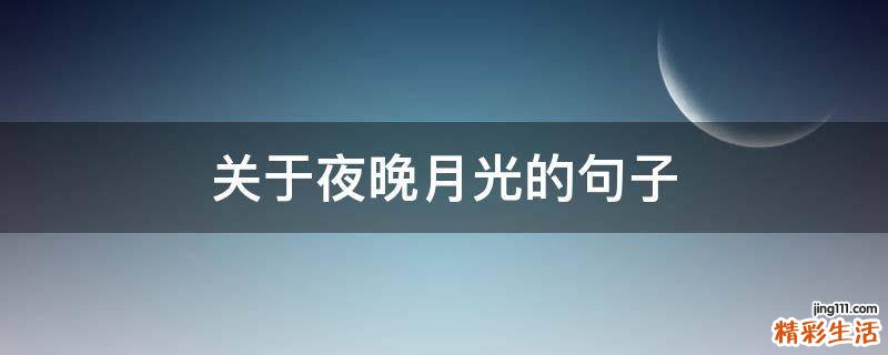 关于夜晚月光的句子