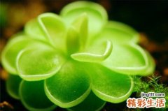 柏油便是怎么回事？