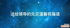 送给领导的元旦温馨祝福语