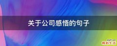 关于公司感悟的句子