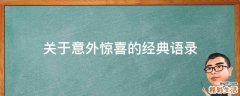 关于意外惊喜的经典语录
