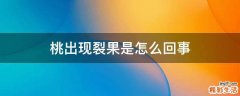桃出现裂果是怎么回事