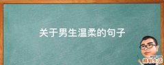 关于男生温柔的句子
