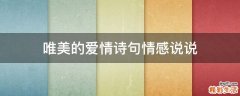 唯美的爱情诗句情感说说