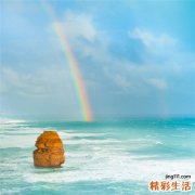 软丝藻
