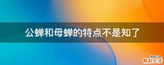 公蝉和母蝉的特点不是知了
