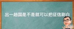 出一趟国是不是就可以把征信刷白