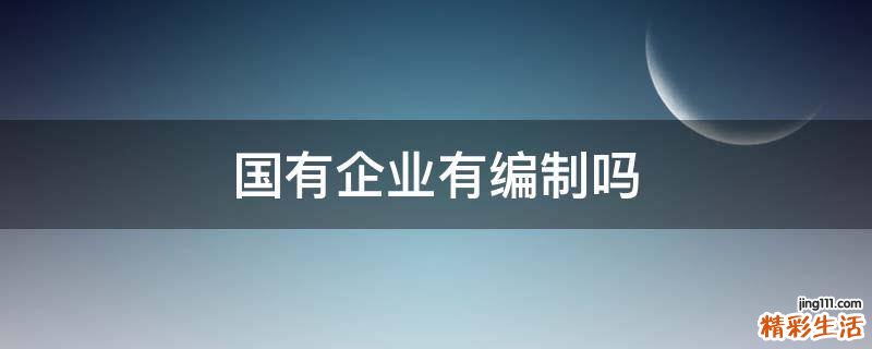 国有企业有编制吗