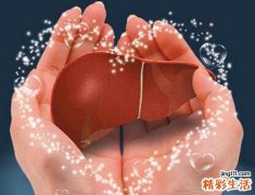 如何养护肝脏 四种方法教你保养肝脏
