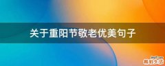 关于重阳节敬老优美句子
