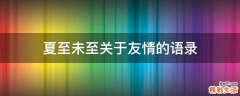 夏至未至关于友情的语录