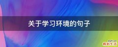 关于学习环境的句子