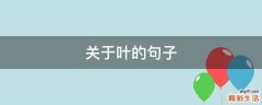 关于叶的句子