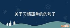 关于习惯孤单的的句子