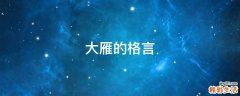 大雁的格言