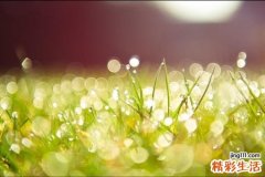 做好眼部热敷 疏通经络