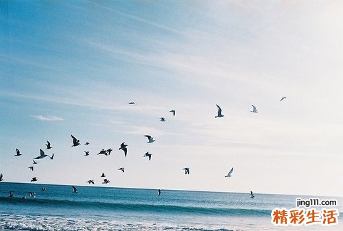 【去角质的不同护理选择】去角质技巧 还你细腻润滑肌肤