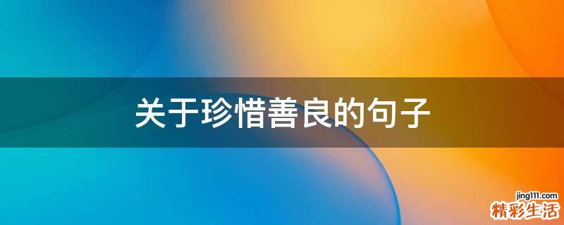 关于珍惜善良的句子