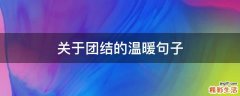 关于团结的温暖句子