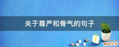 关于尊严和骨气的句子