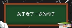 关于老了一岁的句子