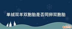 单绒双羊双胞胎是否同卵双胞胎
