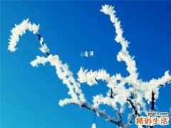 孕妇贫血的症状