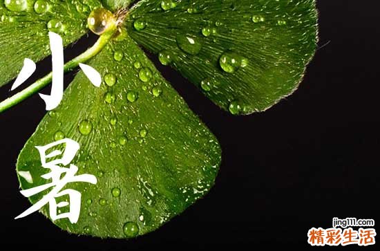 2023年小暑在什么时候