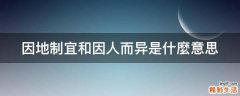 因地制宜和因人而异是什麼意思