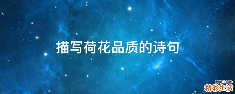 描写荷花品质的诗句