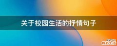 关于校园生活的抒情句子
