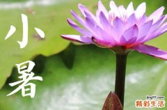 今年小暑是几号2023