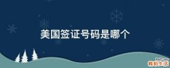 美国签证号码是哪个